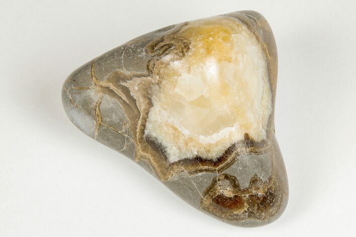 Wide, Polished Septarian Pebble - Utah #207819